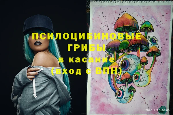 ГАЛЛЮЦИНОГЕННЫЕ ГРИБЫ Новозыбков
