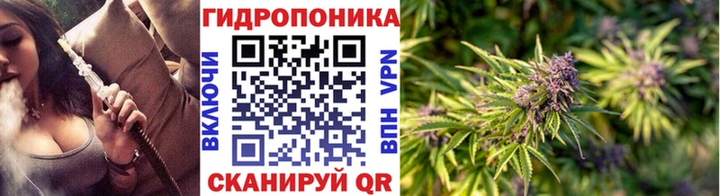 наркота  Черняховск  MEGA рабочий сайт  Конопля тримм 